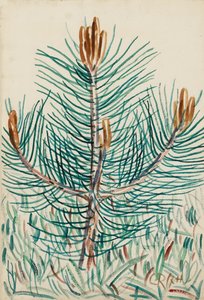 Young Pine Hetschburg by Christian Rohlfs